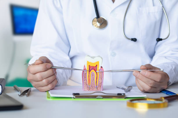 Best Knocked-Out Tooth (Avulsed Tooth) Treatment in Susitna North, AK